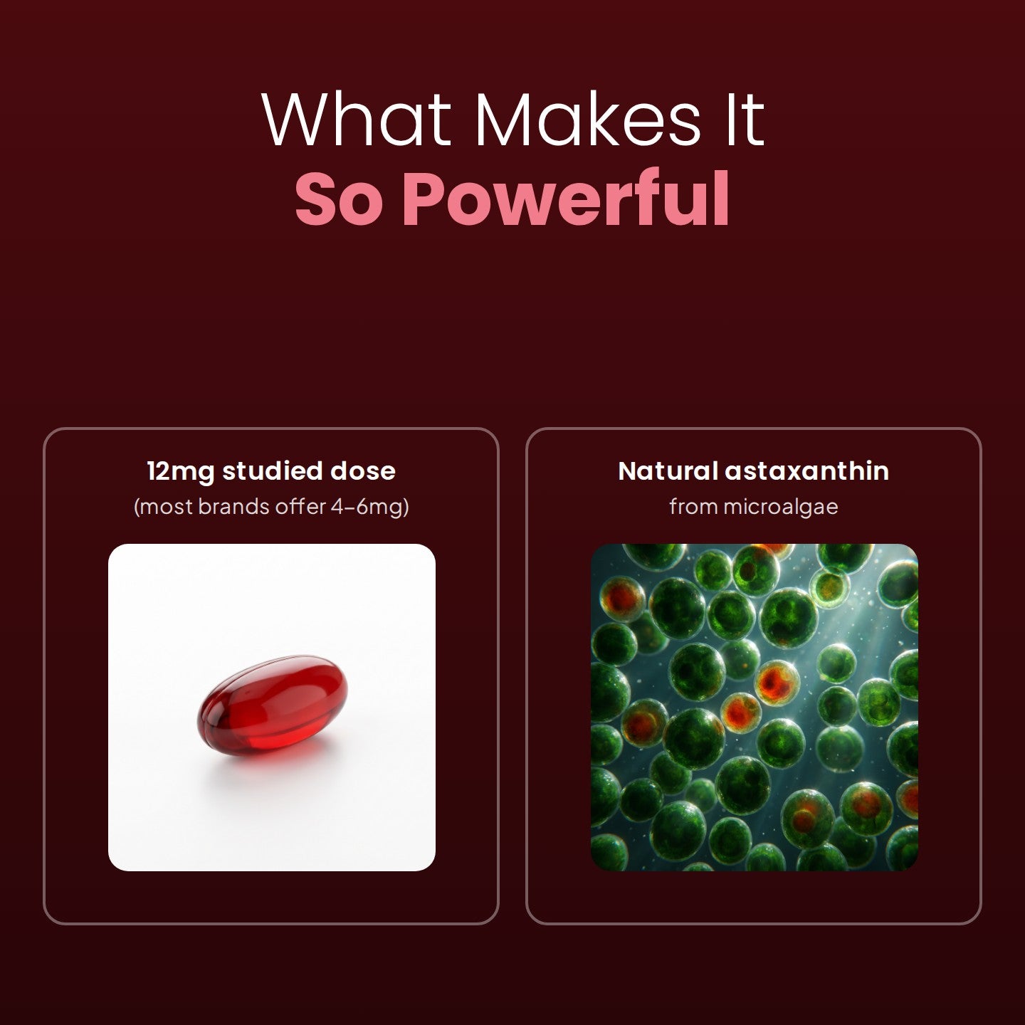 12mg studied dose and natural astaxanthin from microalgae