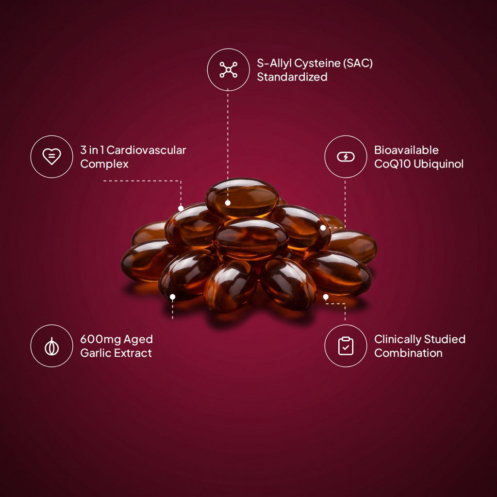 Aged garlic extract and CoQ10 ubiquinol softgels with key compound callouts