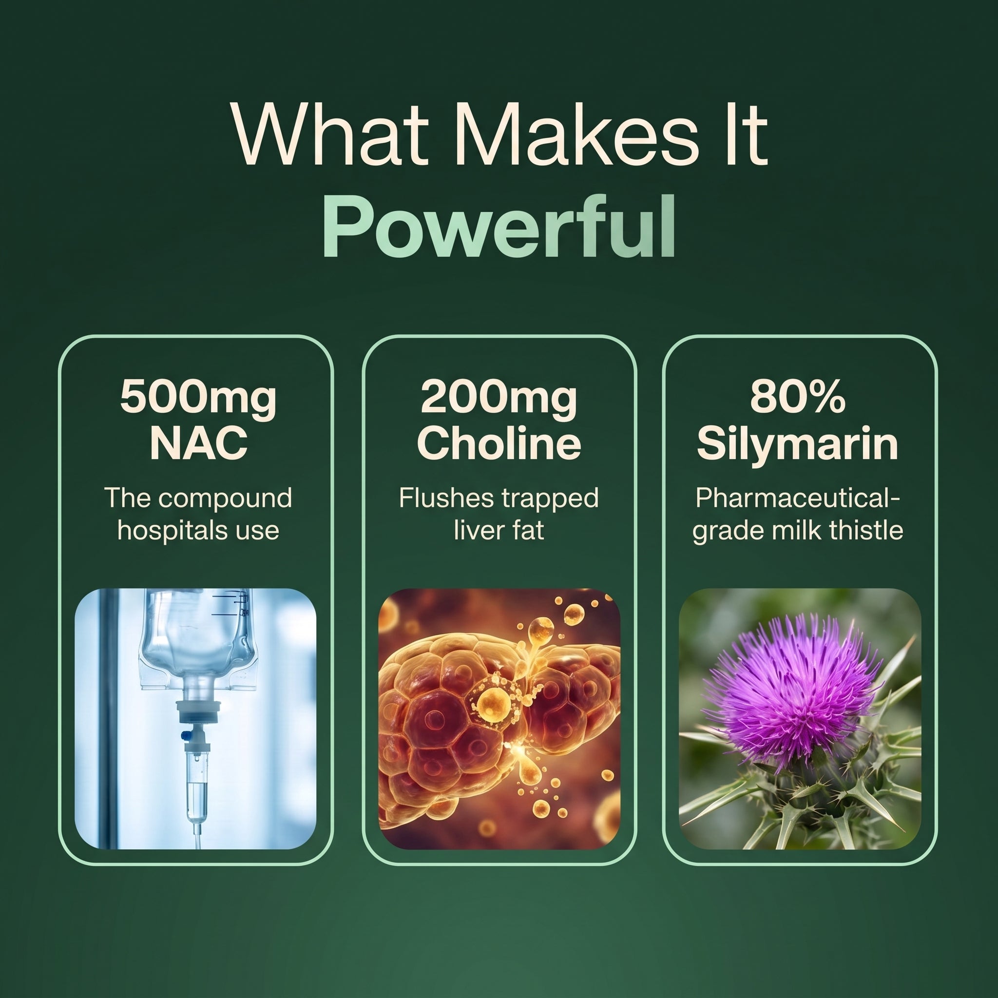 Romero NAC + Choline Liver Detox & Repair